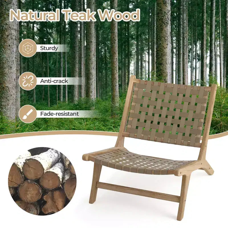 Modern Teak Wood Lounge Chair with Nylon Woven Backrest & Seat Comfy Reading Chair Brown/Black