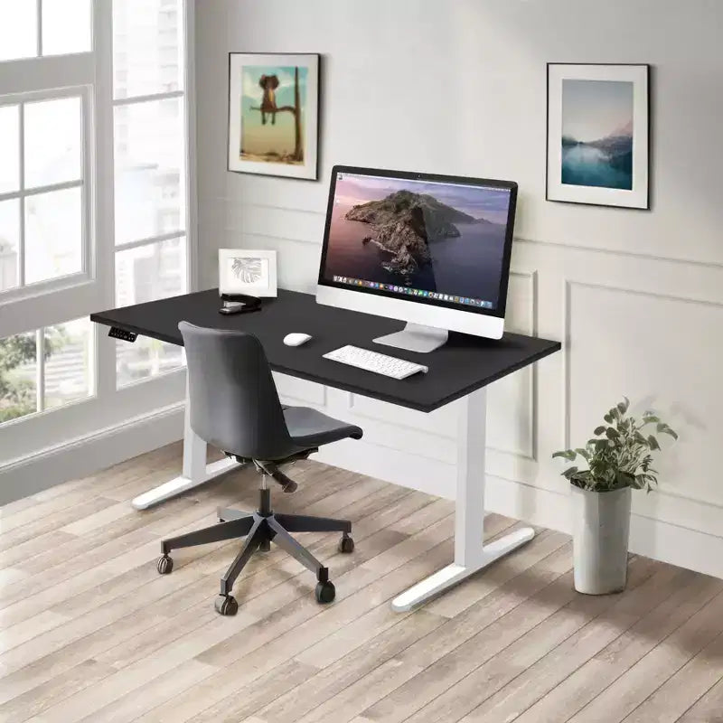 Dual Motor Electric Standing Desk with 55" Tabletop, White Base