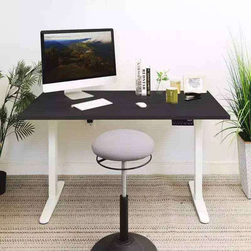 Dual Motor Electric Standing Desk with 55" Tabletop, White Base